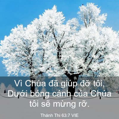 Picture 03 - Thánh Thi 63:7 VIE - Vì Chúa đã giúp đỡ tôi, Dưới bóng - Bible Verse Picture
