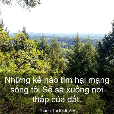 Picture 03 - Thánh Thi 63:9 VIE - Những kẻ nào tìm hại mạng sống tôi - Bible Verse Picture