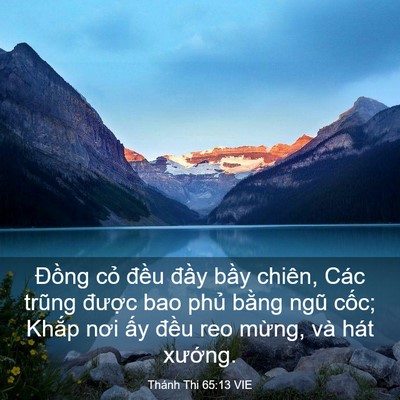 Picture 03 - Thánh Thi 65:13 VIE - Đồng cỏ đều đầy bầy chiên, Các - Bible Verse Picture