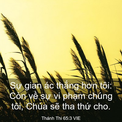 Picture 03 - Thánh Thi 65:3 VIE - Sự gian ác thắng hơn tôi: Còn về sự - Bible Verse Picture