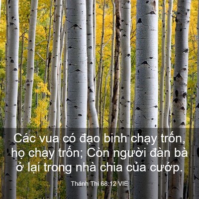 Picture 03 - Thánh Thi 68:12 VIE - Các vua có đạo binh chạy trốn, họ - Bible Verse Picture