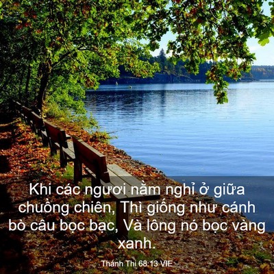 Picture 03 - Thánh Thi 68:13 VIE - Khi các ngươi nằm nghỉ ở giữa chuồng - Bible Verse Picture