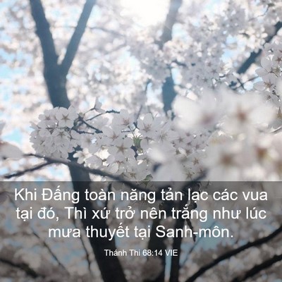 Picture 03 - Thánh Thi 68:14 VIE - Khi Đấng toàn năng tản lạc các vua - Bible Verse Picture