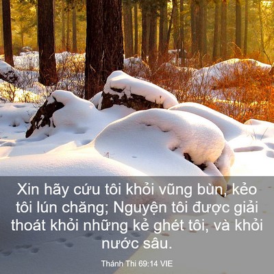 Picture 03 - Thánh Thi 69:14 VIE - Xin hãy cứu tôi khỏi vũng bùn, kẻo tôi - Bible Verse Picture