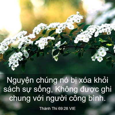 Picture 03 - Thánh Thi 69:28 VIE - Nguyện chúng nó bị xóa khỏi sách sự - Bible Verse Picture