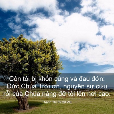Picture 03 - Thánh Thi 69:29 VIE - Còn tôi bị khốn cùng và đau đớn: - Bible Verse Picture
