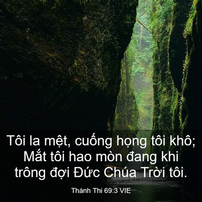 Picture 03 - Thánh Thi 69:3 VIE - Tôi la mệt, cuống họng tôi khô; Mắt - Bible Verse Picture