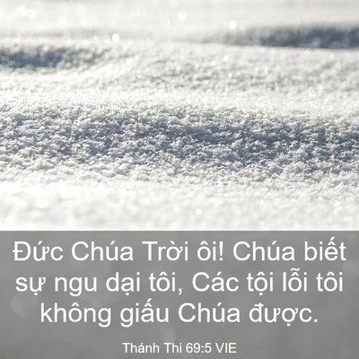 Picture 03 - Thánh Thi 69:5 VIE - Đức Chúa Trời ôi! Chúa biết sự ngu - Bible Verse Picture