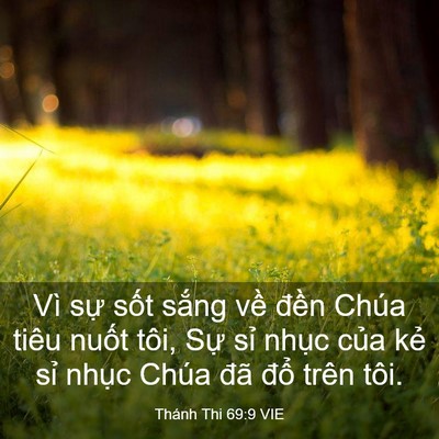 Picture 03 - Thánh Thi 69:9 VIE - Vì sự sốt sắng về đền Chúa tiêu - Bible Verse Picture
