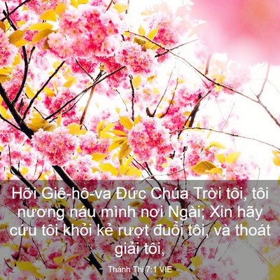Picture 03 - Thánh Thi 7:1 VIE - Hỡi Giê-hô-va Đức Chúa Trời tôi, tôi - Bible Verse Picture