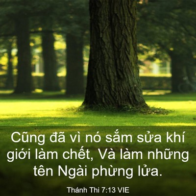 Picture 03 - Thánh Thi 7:13 VIE - Cũng đã vì nó sắm sửa khí giới làm - Bible Verse Picture
