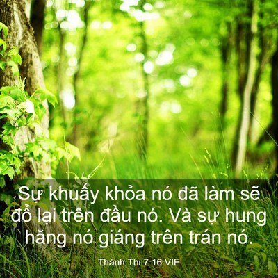 Picture 03 - Thánh Thi 7:16 VIE - Sự khuấy khỏa nó đã làm sẽ đổ - Bible Verse Picture