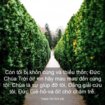 Picture 03 - Thánh Thi 70:5 VIE - Còn tôi bị khốn cùng và thiếu thốn; - Bible Verse Picture