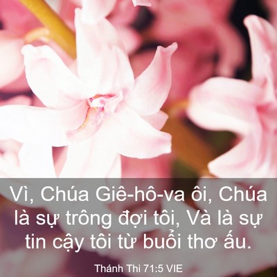 Picture 03 - Thánh Thi 71:5 VIE - Vì, Chúa Giê-hô-va ôi, Chúa là sự trông - Bible Verse Picture