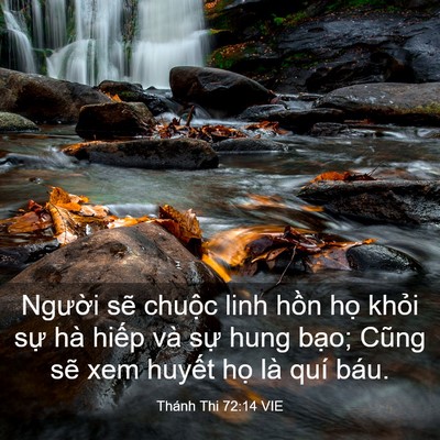 Picture 03 - Thánh Thi 72:14 VIE - Người sẽ chuộc linh hồn họ khỏi sự - Bible Verse Picture