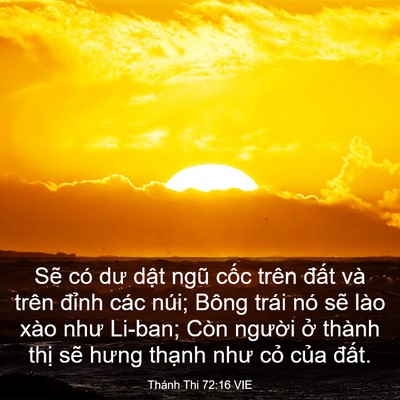 Picture 03 - Thánh Thi 72:16 VIE - Sẽ có dư dật ngũ cốc trên đất và - Bible Verse Picture