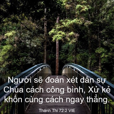 Picture 03 - Thánh Thi 72:2 VIE - Người sẽ đoán xét dân sự Chúa cách - Bible Verse Picture