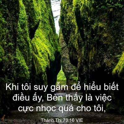 Picture 03 - Thánh Thi 73:16 VIE - Khi tôi suy gẫm để hiểu biết điều - Bible Verse Picture