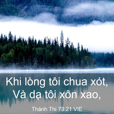Picture 03 - Thánh Thi 73:21 VIE - Khi lòng tôi chua xót, Và dạ tôi xôn - Bible Verse Picture