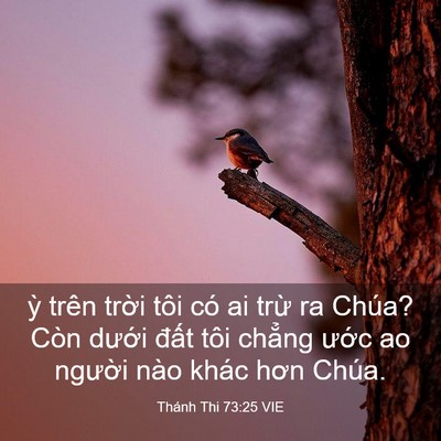 Picture 03 - Thánh Thi 73:25 VIE - ỳ trên trời tôi có ai trừ ra Chúa? Còn - Bible Verse Picture