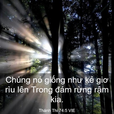 Picture 03 - Thánh Thi 74:5 VIE - Chúng nó giống như kẻ giơ rìu lên Trong - Bible Verse Picture