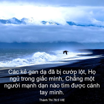 Picture 03 - Thánh Thi 76:5 VIE - Các kẻ gan dạ đã bị cướp lột, Họ - Bible Verse Picture