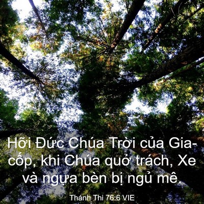 Picture 03 - Thánh Thi 76:6 VIE - Hỡi Đức Chúa Trời của Gia-cốp, khi - Bible Verse Picture