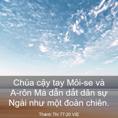 Picture 03 - Thánh Thi 77:20 VIE - Chúa cậy tay Môi-se và A-rôn Mà dẫn - Bible Verse Picture