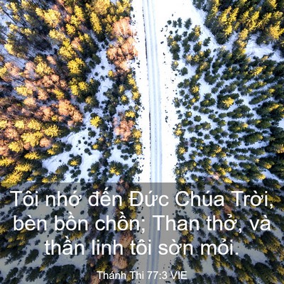 Picture 03 - Thánh Thi 77:3 VIE - Tôi nhớ đến Đức Chúa Trời, bèn bồn - Bible Verse Picture