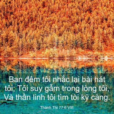 Picture 03 - Thánh Thi 77:6 VIE - Ban đêm tôi nhắc lại bài hát tôi; Tôi - Bible Verse Picture