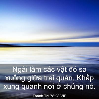 Picture 03 - Thánh Thi 78:28 VIE - Ngài làm các vật đó sa xuống giữa - Bible Verse Picture