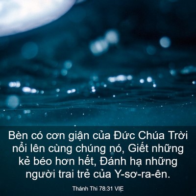 Picture 03 - Thánh Thi 78:31 VIE - Bèn có cơn giận của Đức Chúa Trời - Bible Verse Picture