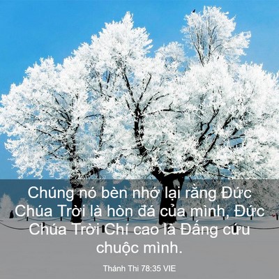 Picture 03 - Thánh Thi 78:35 VIE - Chúng nó bèn nhớ lại rằng Đức Chúa - Bible Verse Picture