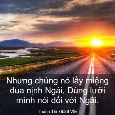 Picture 03 - Thánh Thi 78:36 VIE - Nhưng chúng nó lấy miệng dua nịnh Ngài, - Bible Verse Picture