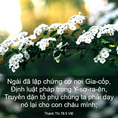 Picture 03 - Thánh Thi 78:5 VIE - Ngài đã lập chứng cớ nơi Gia-cốp, - Bible Verse Picture