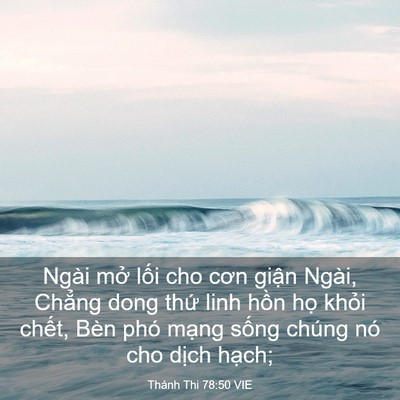 Picture 03 - Thánh Thi 78:50 VIE - Ngài mở lối cho cơn giận Ngài, Chẳng - Bible Verse Picture