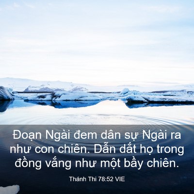 Picture 03 - Thánh Thi 78:52 VIE - Đoạn Ngài đem dân sự Ngài ra như con - Bible Verse Picture