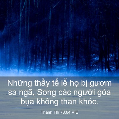 Picture 03 - Thánh Thi 78:64 VIE - Những thầy tế lễ họ bị gươm sa - Bible Verse Picture
