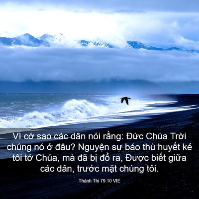 Picture 03 - Thánh Thi 79:10 VIE - Vì cớ sao các dân nói rằng: Đức Chúa - Bible Verse Picture