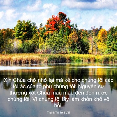 Picture 03 - Thánh Thi 79:8 VIE - Xin Chúa chớ nhớ lại mà kể cho chúng - Bible Verse Picture