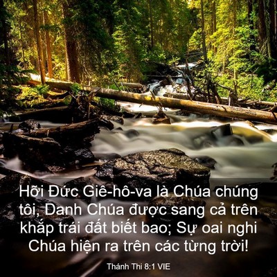 Picture 03 - Thánh Thi 8:1 VIE - Hỡi Đức Giê-hô-va là Chúa chúng tôi, - Bible Verse Picture
