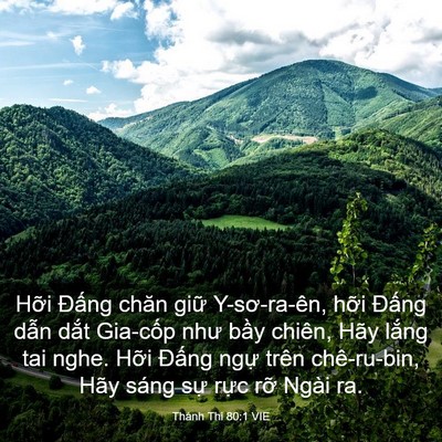 Picture 03 - Thánh Thi 80:1 VIE - Hỡi Đấng chăn giữ Y-sơ-ra-ên, hỡi - Bible Verse Picture