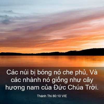 Picture 03 - Thánh Thi 80:10 VIE - Các núi bị bóng nó che phủ, Và các - Bible Verse Picture