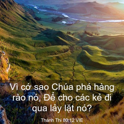 Picture 03 - Thánh Thi 80:12 VIE - Vì cớ sao Chúa phá hàng rào nó, Để cho - Bible Verse Picture