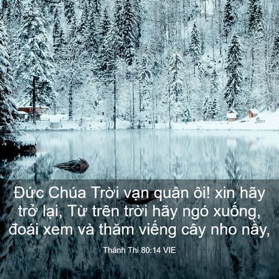 Picture 03 - Thánh Thi 80:14 VIE - Đức Chúa Trời vạn quân ôi! xin hãy - Bible Verse Picture