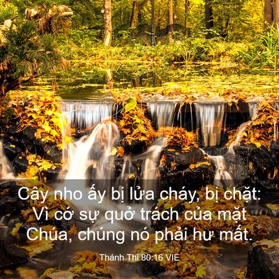 Picture 03 - Thánh Thi 80:16 VIE - Cây nho ấy bị lửa cháy, bị chặt: Vì - Bible Verse Picture
