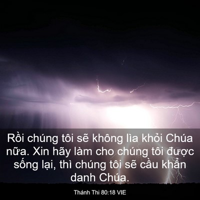 Picture 03 - Thánh Thi 80:18 VIE - Rồi chúng tôi sẽ không lìa khỏi Chúa - Bible Verse Picture