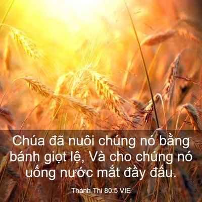 Picture 03 - Thánh Thi 80:5 VIE - Chúa đã nuôi chúng nó bằng bánh giọt - Bible Verse Picture