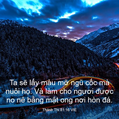 Picture 03 - Thánh Thi 81:16 VIE - Ta sẽ lấy màu mỡ ngũ cốc mà nuôi - Bible Verse Picture