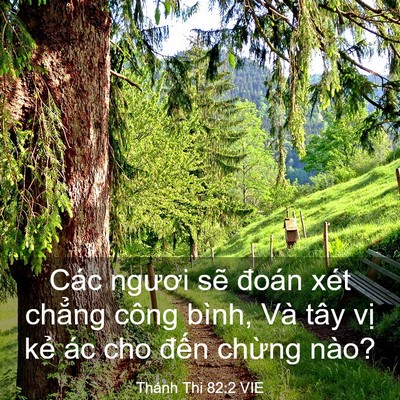 Picture 03 - Thánh Thi 82:2 VIE - Các ngươi sẽ đoán xét chẳng công - Bible Verse Picture